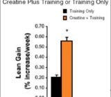 Creatine and its benefits – core fitness