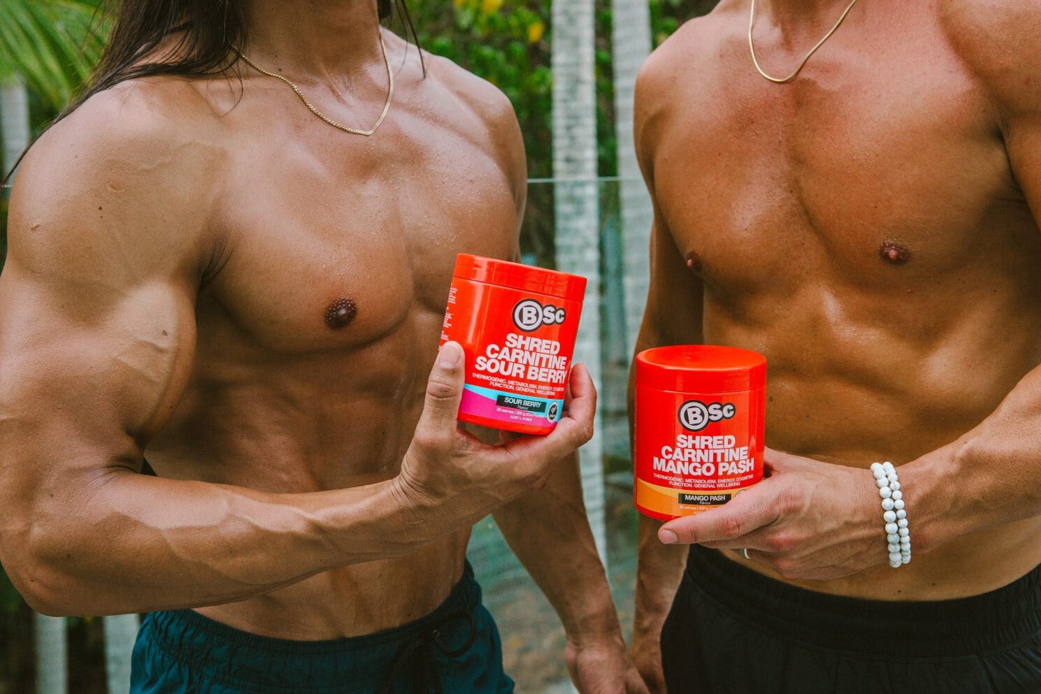The role of L-carnitine in the weight loss fitness