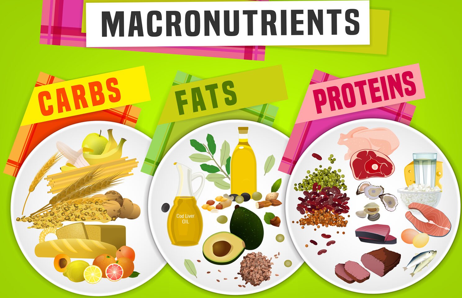 What are the macronutrients?